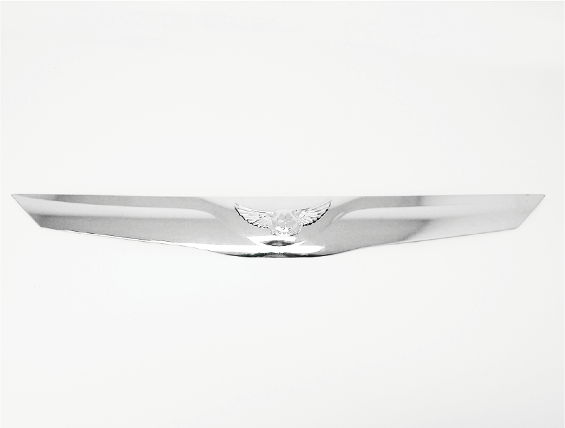 MOLDURA DE CAPOT CROMO (1PCS)