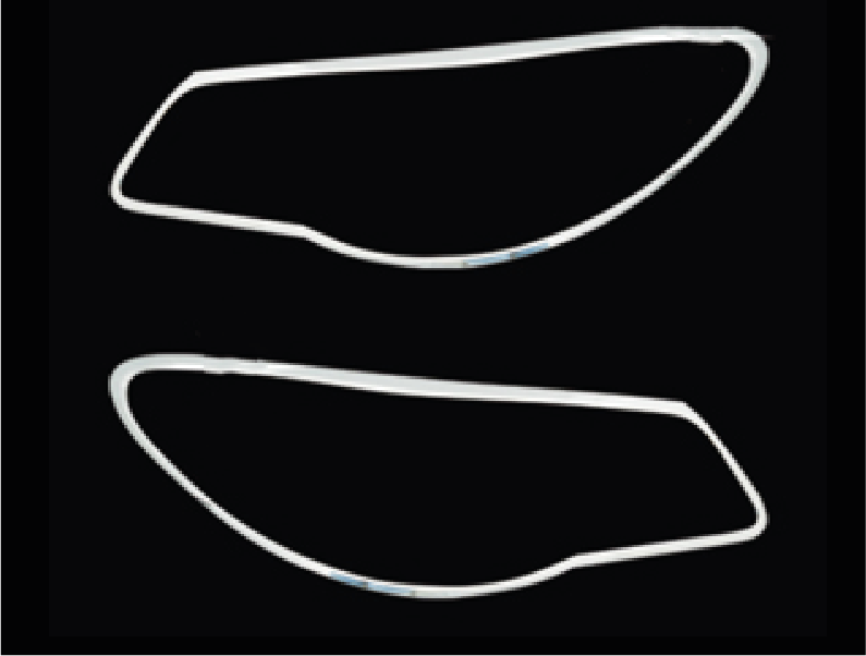 MOLDURA DE FARO DELANTERO (2PCS)