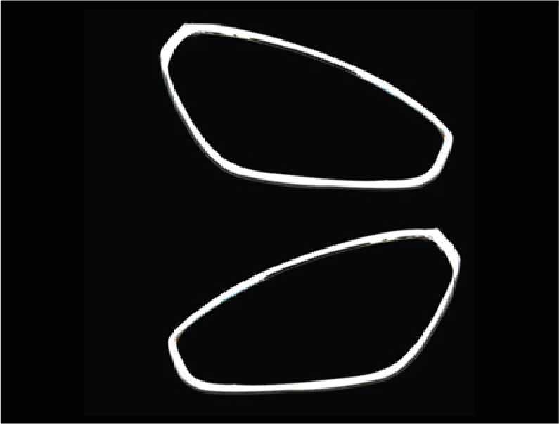 MOLDURA DE FARO DELANTERO (2PCS)